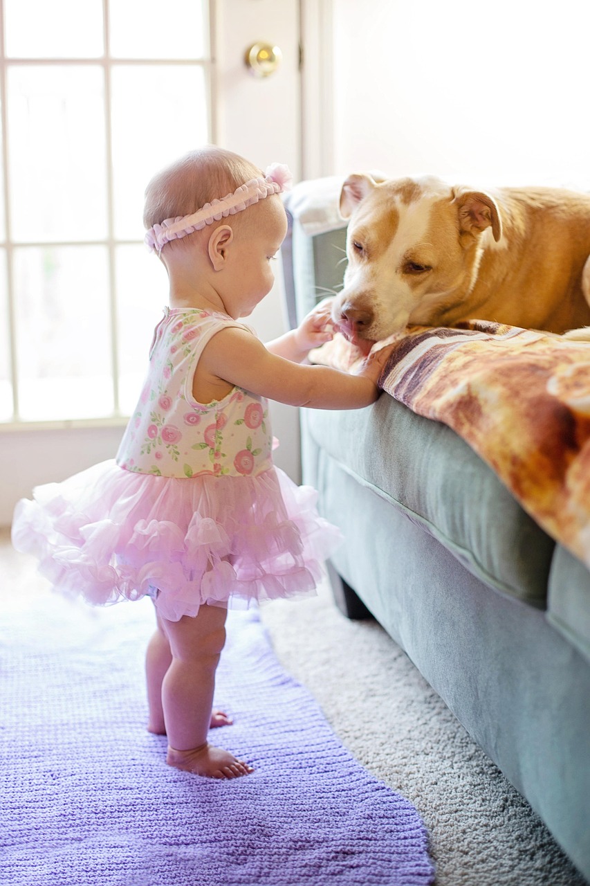 baby girl, dog, pet, home, child, animal, toddler, kid